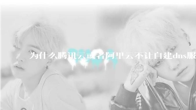 为什么腾讯云或者阿里云不让自建dns服务器?