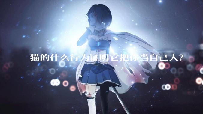 猫的什么行为证明它把你当自己人？